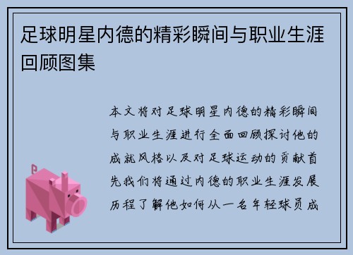 足球明星内德的精彩瞬间与职业生涯回顾图集