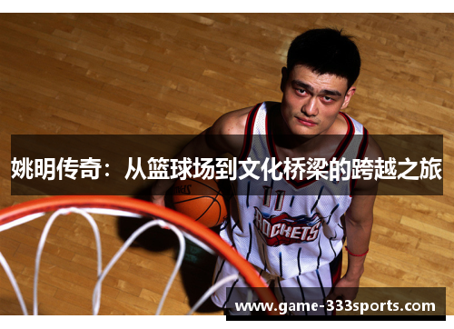姚明传奇：从篮球场到文化桥梁的跨越之旅